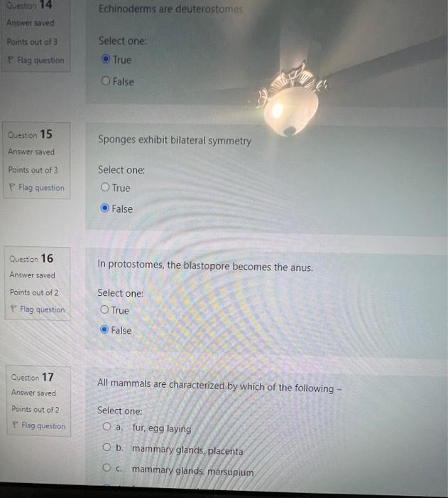 Solved Sponges exhibit bilateral symmetry Select one True