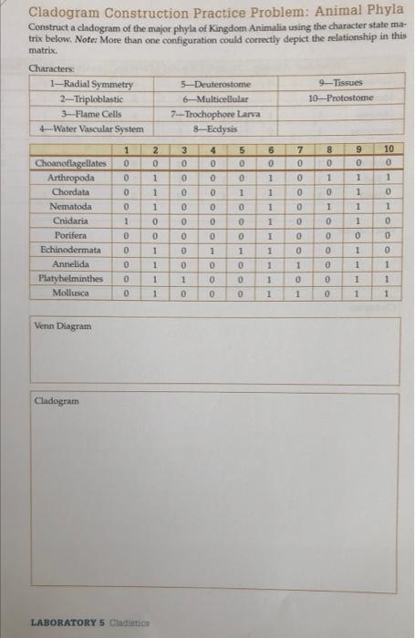 Solved Cladogram Construction Practice Problem: Animal Phyla | Chegg.com