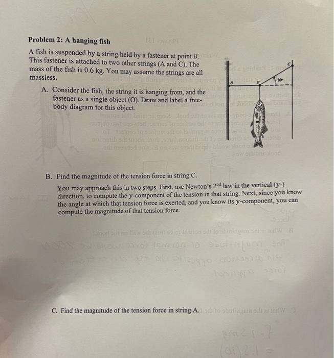 Solved Problem 2: A hanging fish A fish is suspended by a | Chegg.com