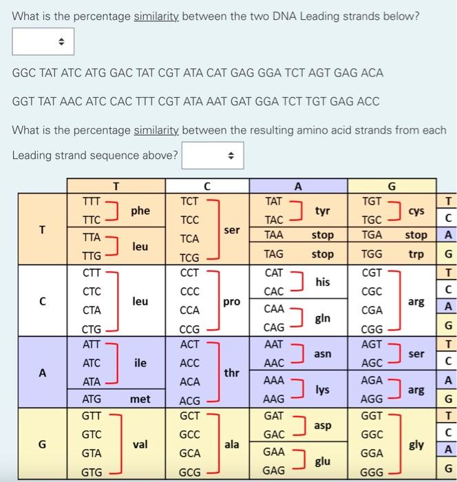 solved-what-is-the-percentage-similarity-between-the-two-dna-chegg