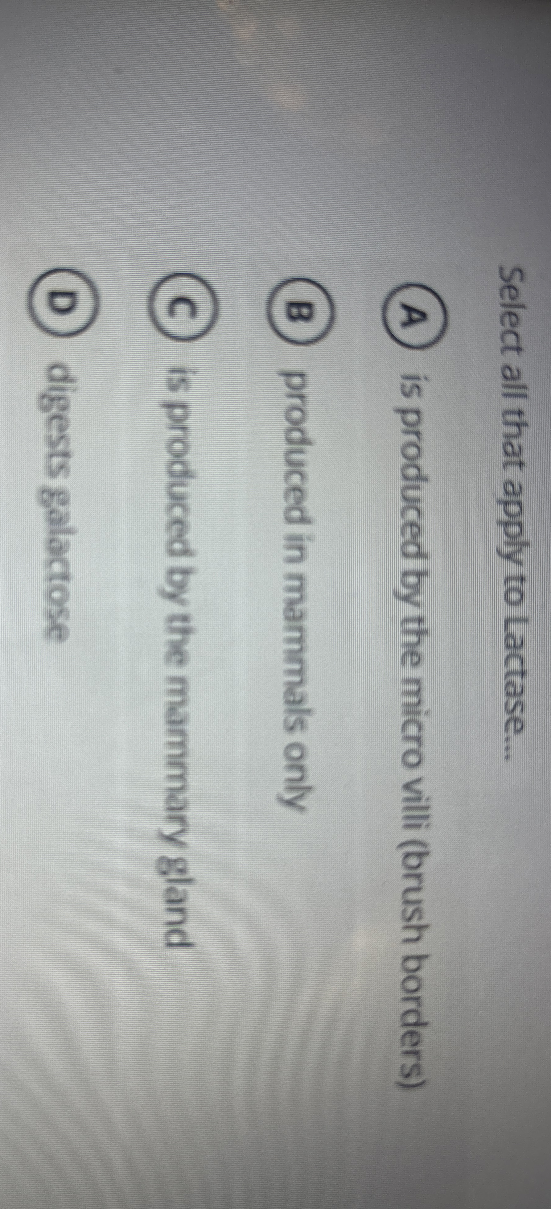 Solved Select All That Apply To Lactase Is Produced By The Chegg Com