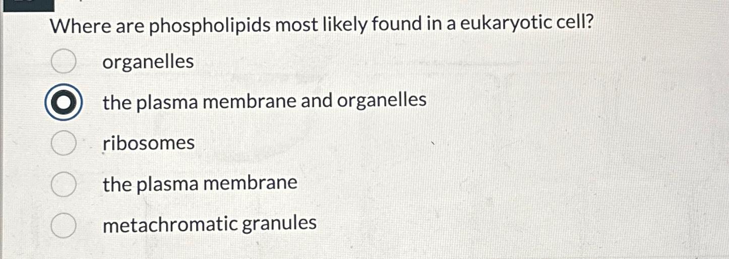 Solved Where are phospholipids most likely found in a