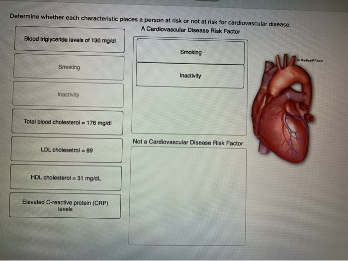 Solved Determine whether each characteristic places a person | Chegg.com