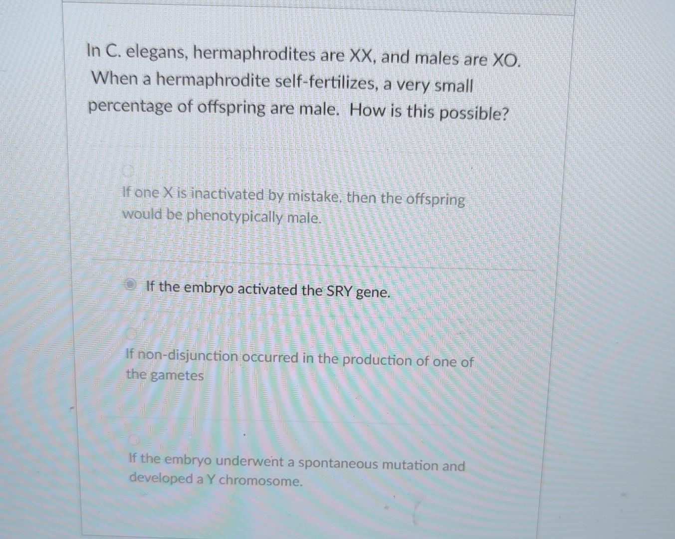 Solved In C. elegans, hermaphrodites are XX, and males are | Chegg.com