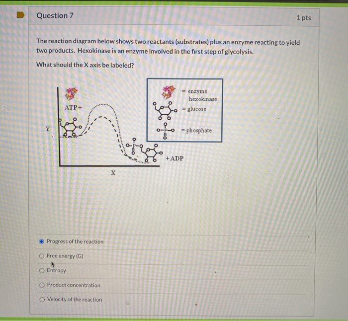 Solved Question 7 1 pts The reaction diagram below shows two | Chegg.com