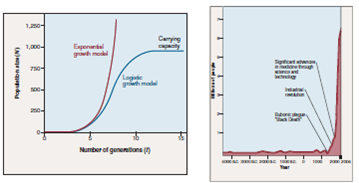 Figures 37 2 And 40 12 Discuss The Human Growth Curve From Chegg Com