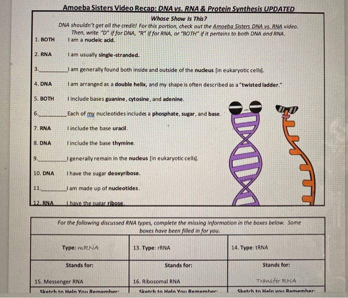 dna-vs-rna-worksheet-answers-free-download-gmbar-co