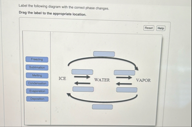 Solved Label the following diagram with the correct phase | Chegg.com