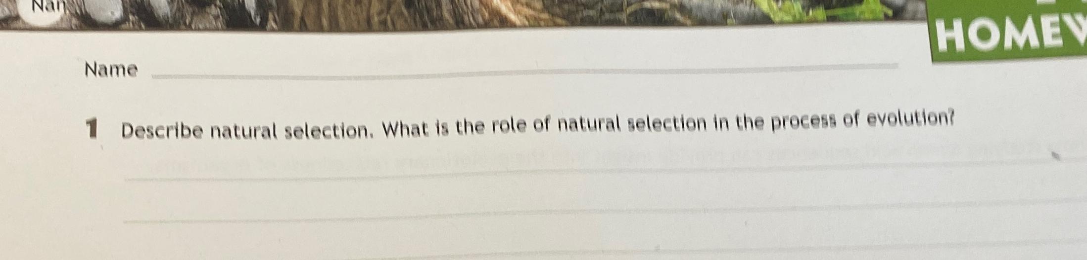 describe the process of natural selection in your own words