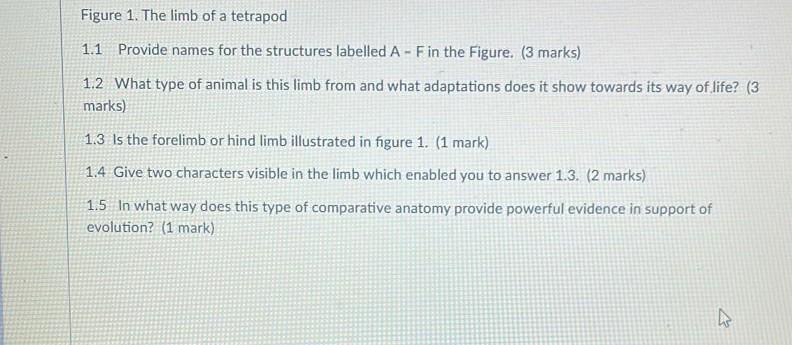 Solved Answer the following questions based on Figure 1 | Chegg.com