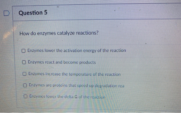 Solved Question 5 How do enzymes catalyze reactions? Enzymes | Chegg.com