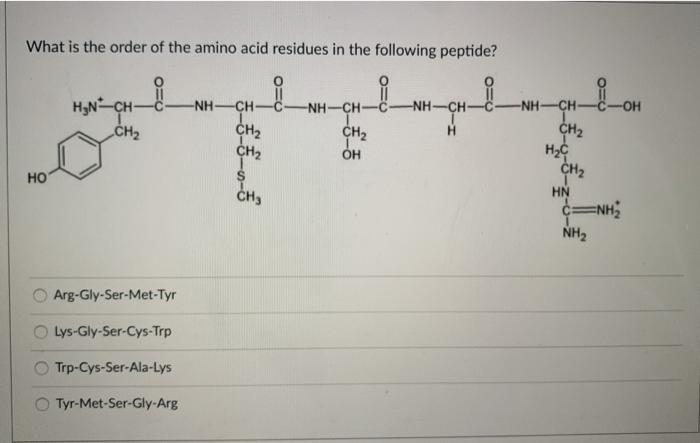 Solved What is the order of the amino acid residues in the | Chegg.com