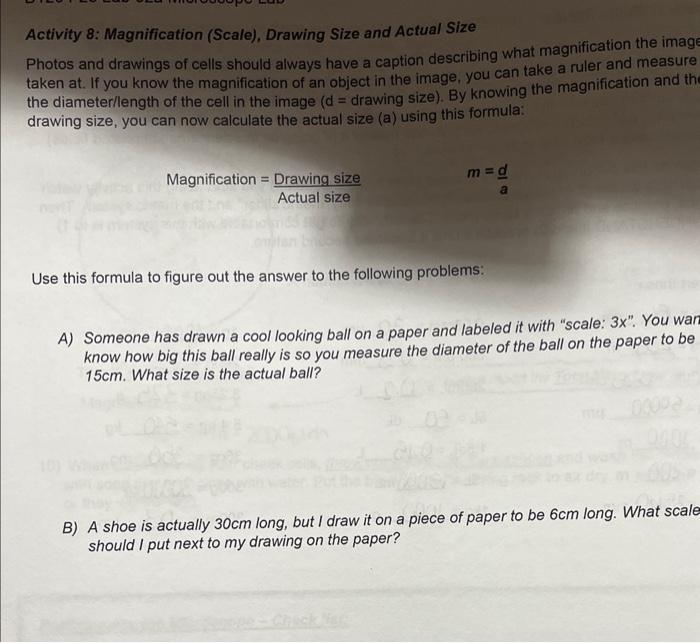 Problem Size Scales and Activities