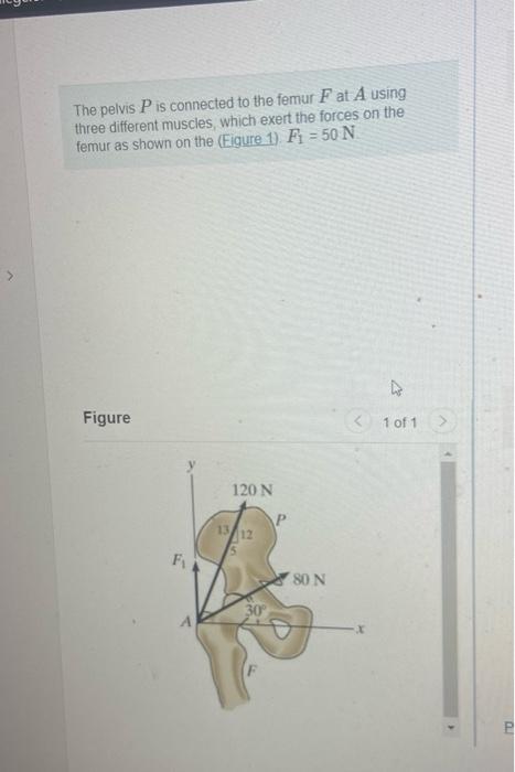 The pelvis \( P \) is connected to the femur \( F \) at \( A \) using three different muscles, which exert the forces on the 