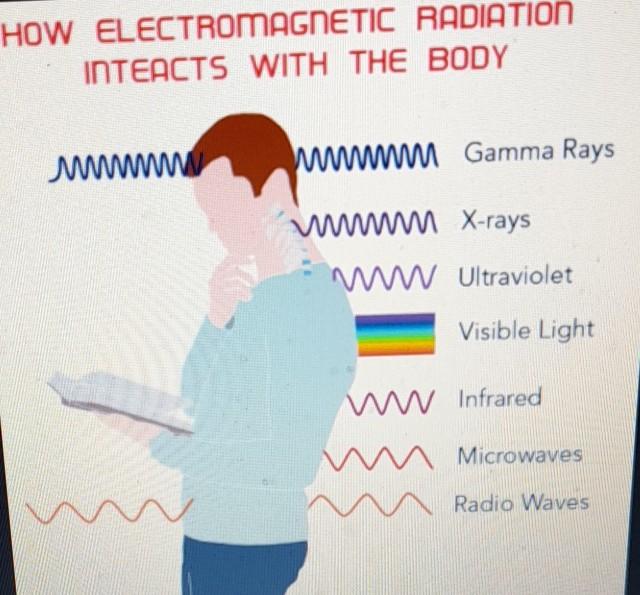 Solved why radio waves penetrate body while infra red | Chegg.com