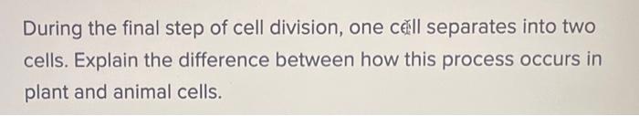 Solved During the final step of cell division, one cếll | Chegg.com