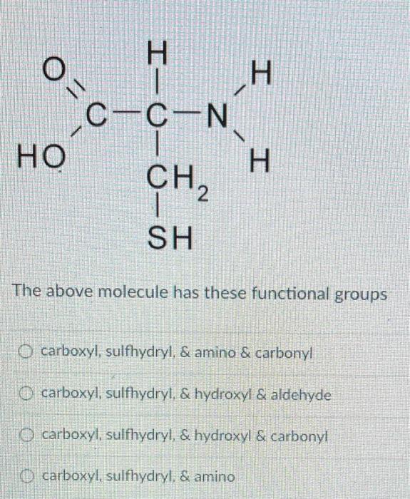 Solved The above molecule has these functional groups | Chegg.com