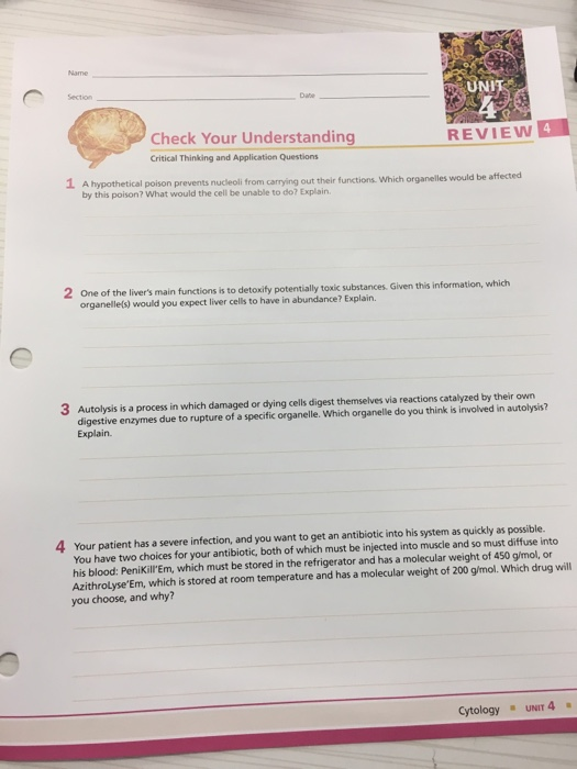 Deep questions about cells image