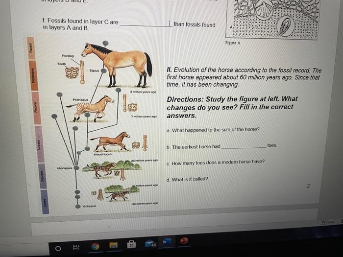 Solved Part I Fossil Evidence 1. A Fossil Is The Remains, Or | Chegg.com