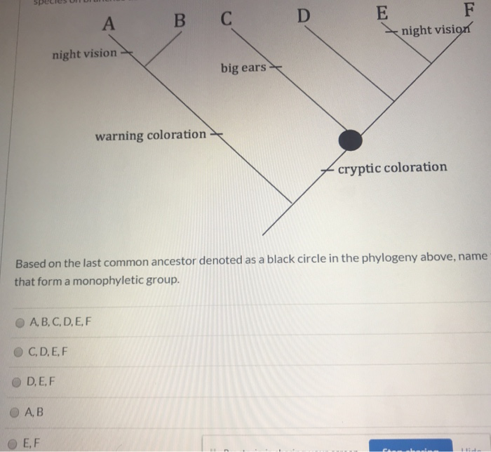 Solved The Phylogeny Below Shows The Pattern Of Divergence | Chegg.com