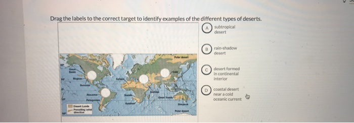 Solved Drag the labels to the correct target to identify | Chegg.com