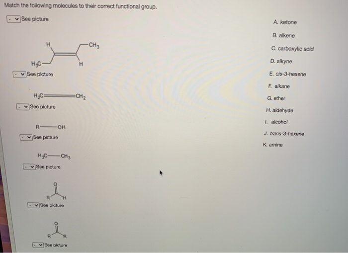 Solved Match the following molecules to their correct | Chegg.com