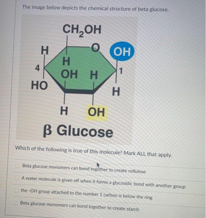 beta glucose structure
