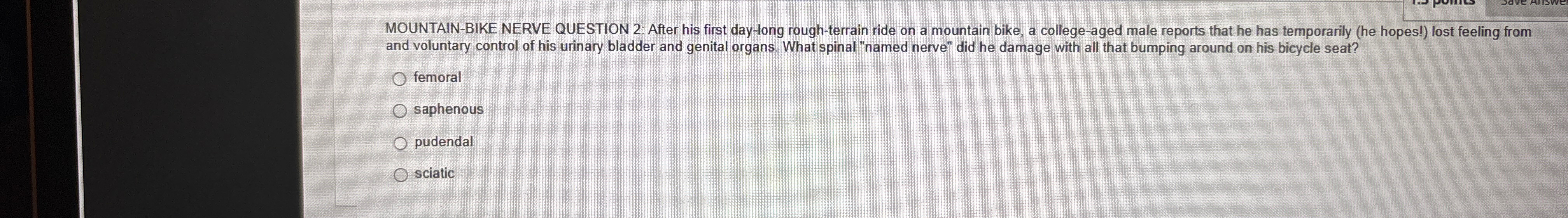 Solved MOUNTAIN-BIKE NERVE QUESTION 2: After his first | Chegg.com