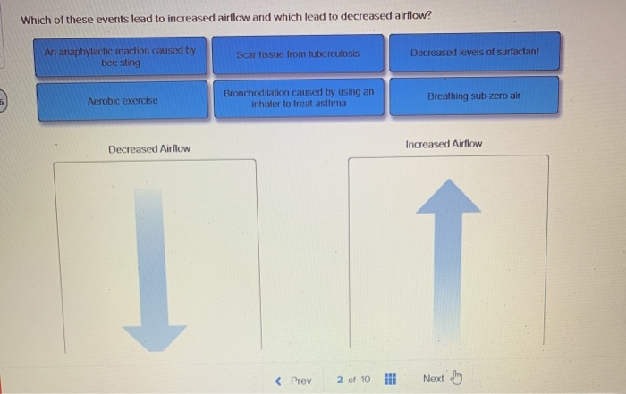 Solved Which of these events lead to increased airflow and | Chegg.com