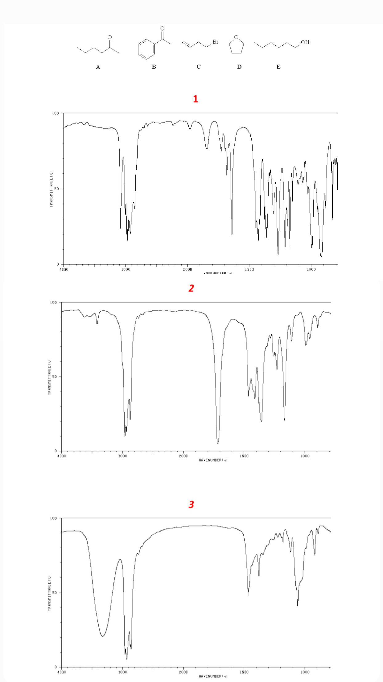 Solved Indicate and interpret the important peaks in the | Chegg.com