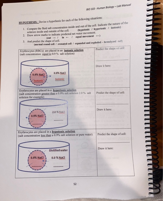 Solved BIO 103 Human Biology Lab Manual HYPOTHESIS