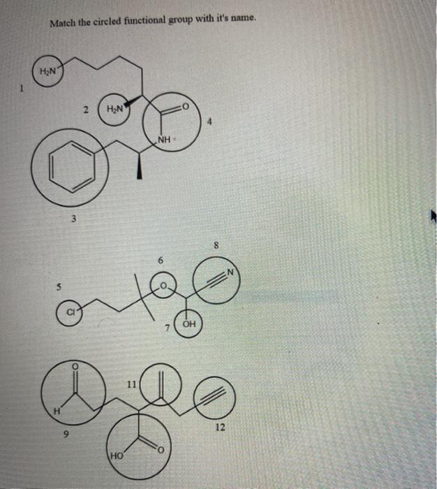 Solved Match the circled functional group with it's name. | Chegg.com