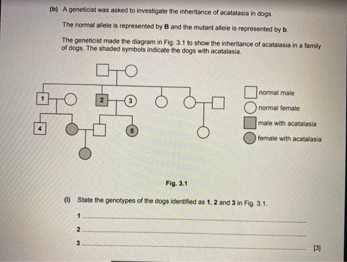 Solved (b) A geneticist was asked to investigate the | Chegg.com