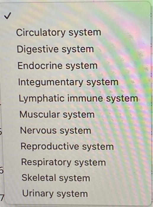 Solved Match The Organ System With The Correct Function. 1. | Chegg.com