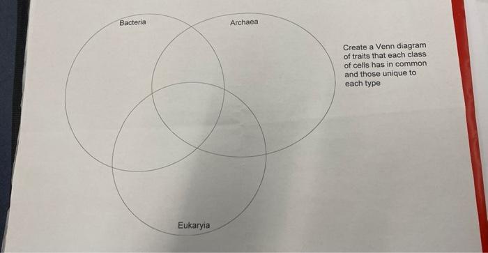 Create a Venn diagram of traits that each class of cells has in common and those unique to each type