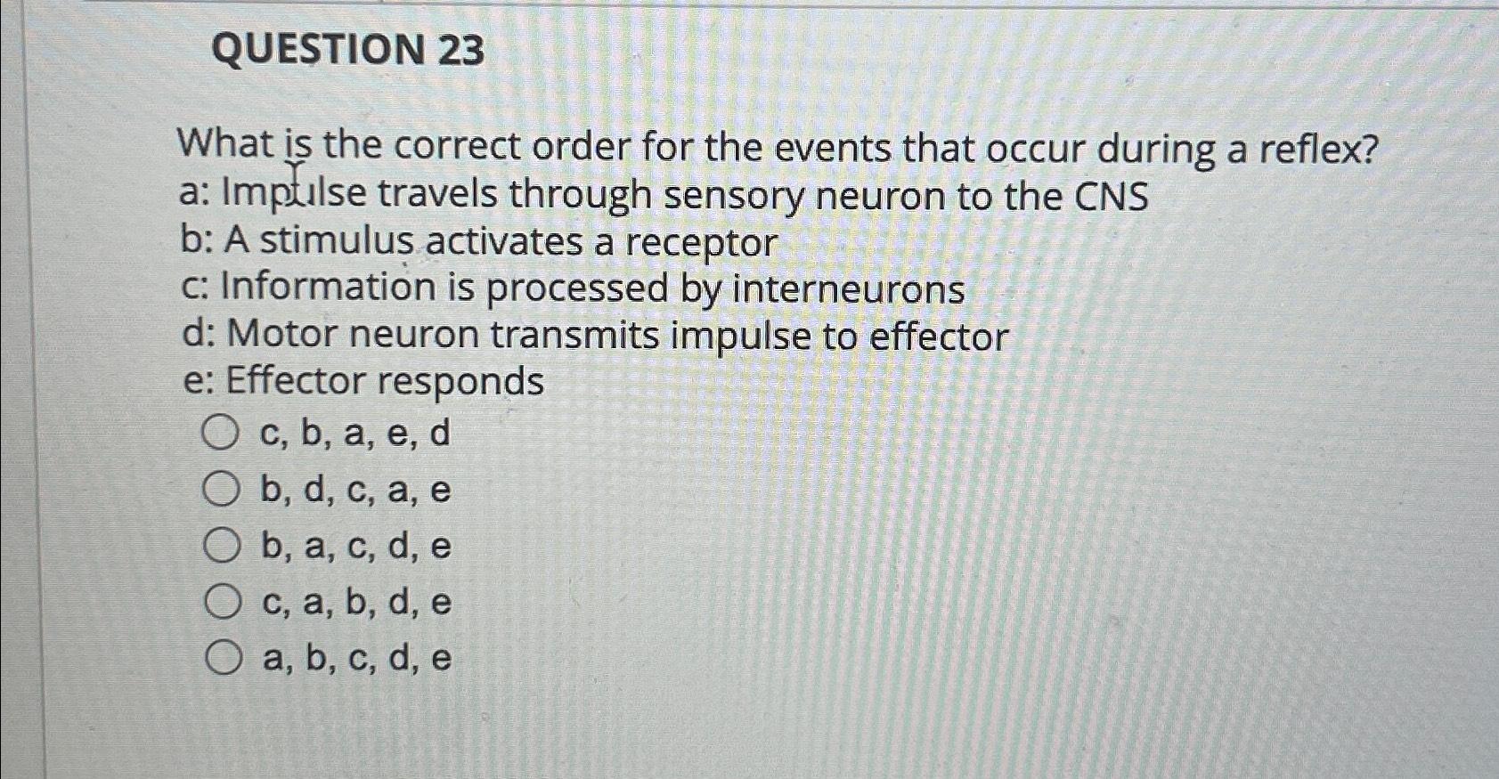 Solved QUESTION 23What is the correct order for the events | Chegg.com