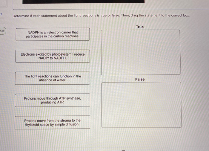 solved-3-determine-if-each-statement-about-the-light-chegg