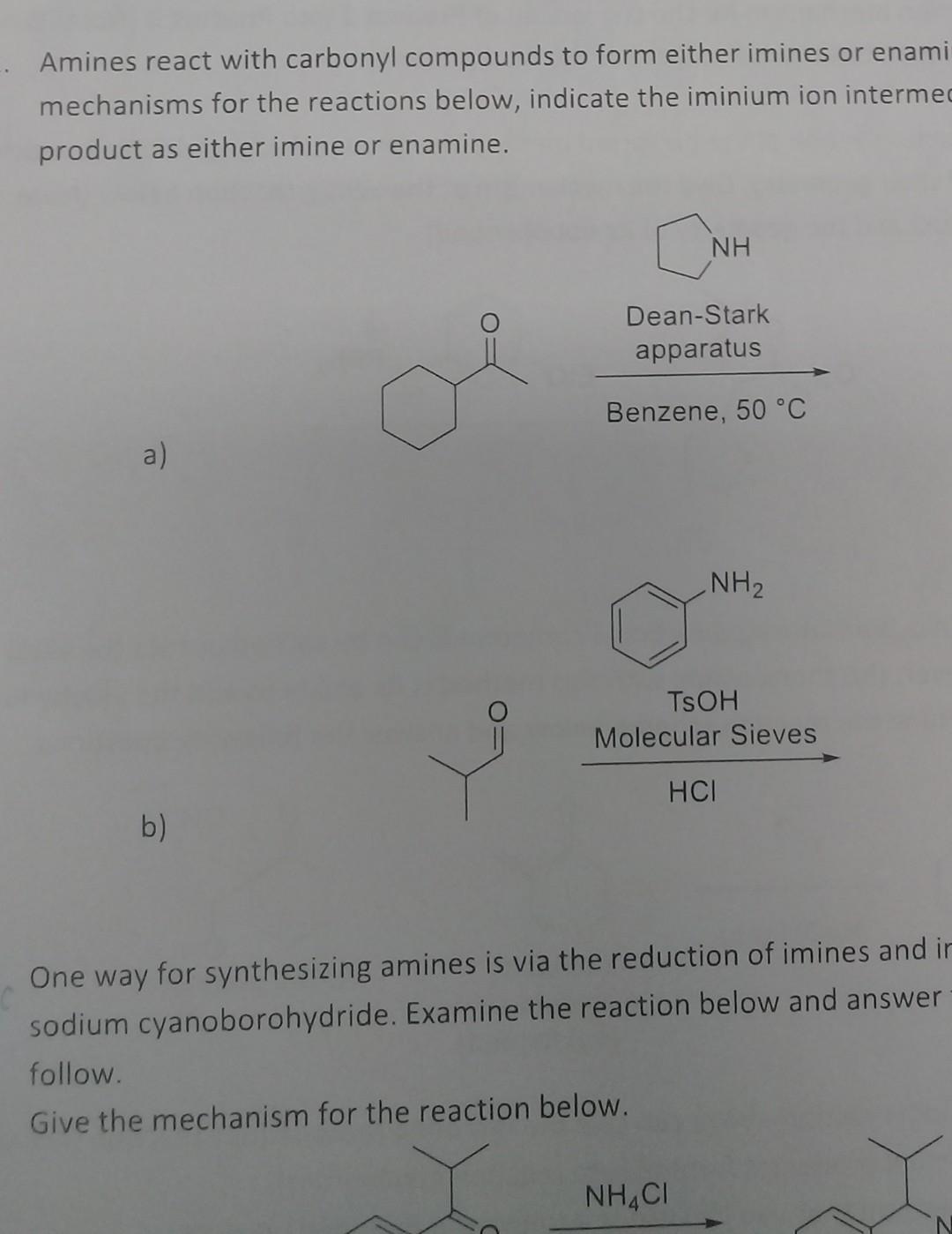 Solved Amines react with carbonyl compounds to form either | Chegg.com