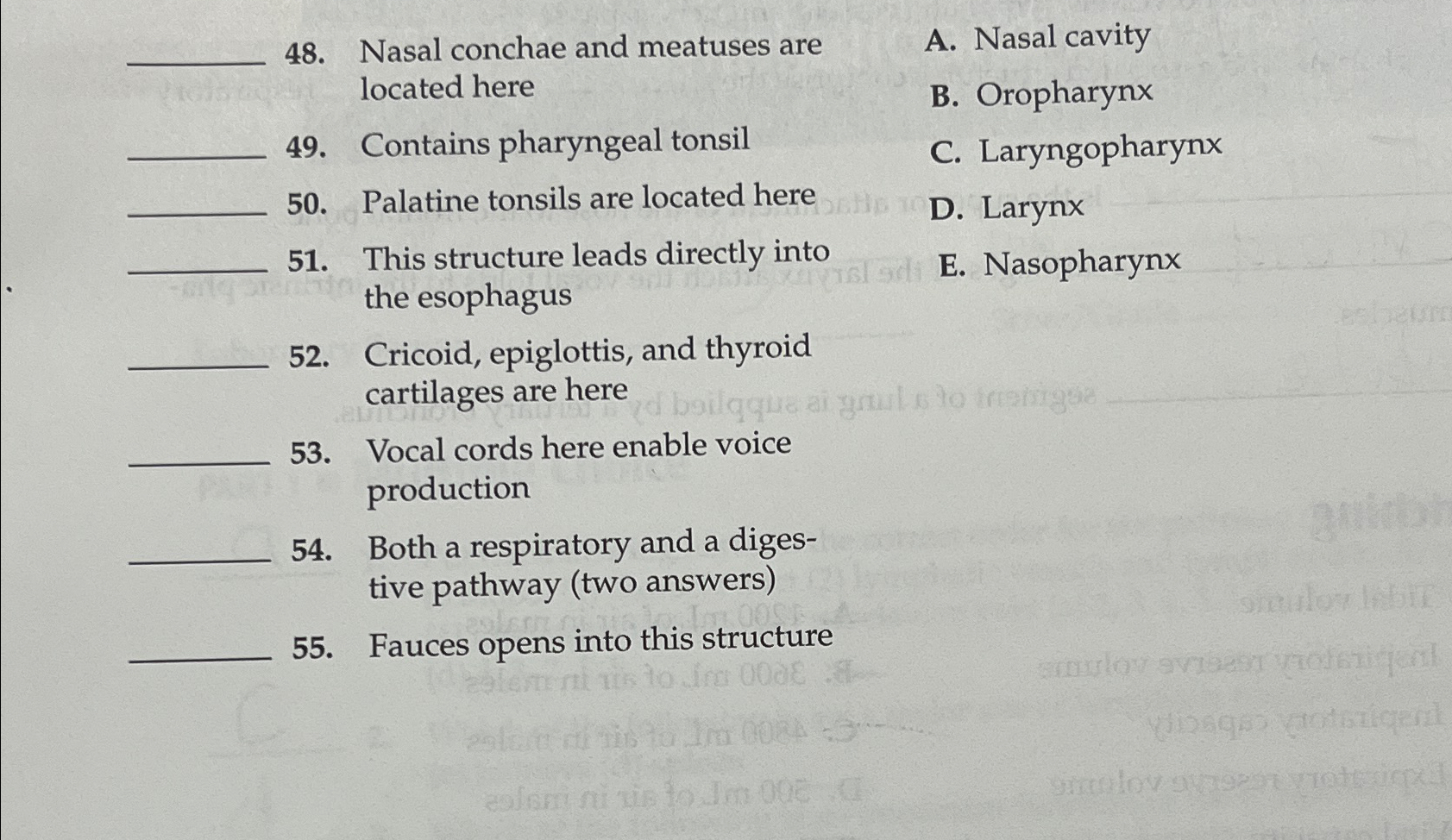 Solved Nasal conchae and meatuses areA. ﻿Nasal cavity | Chegg.com