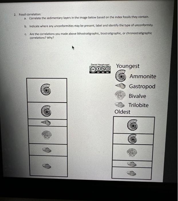 2. Fossil correlation a. Correlate the sedimentary