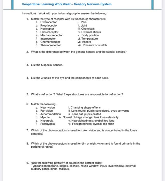 Solved Cooperative Learning Worksheet - Sensory Nervous | Chegg.com