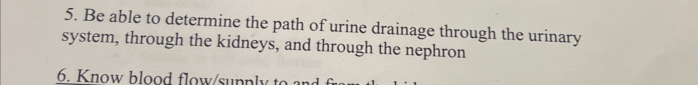 Solved Be able to determine the path of urine drainage | Chegg.com