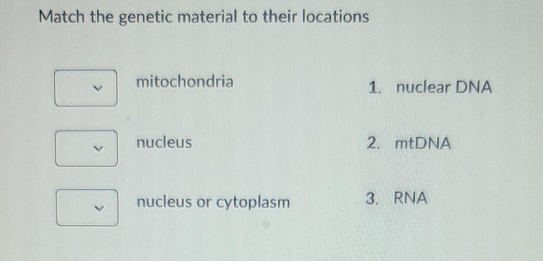 Solved Match the genetic material to their locations | Chegg.com