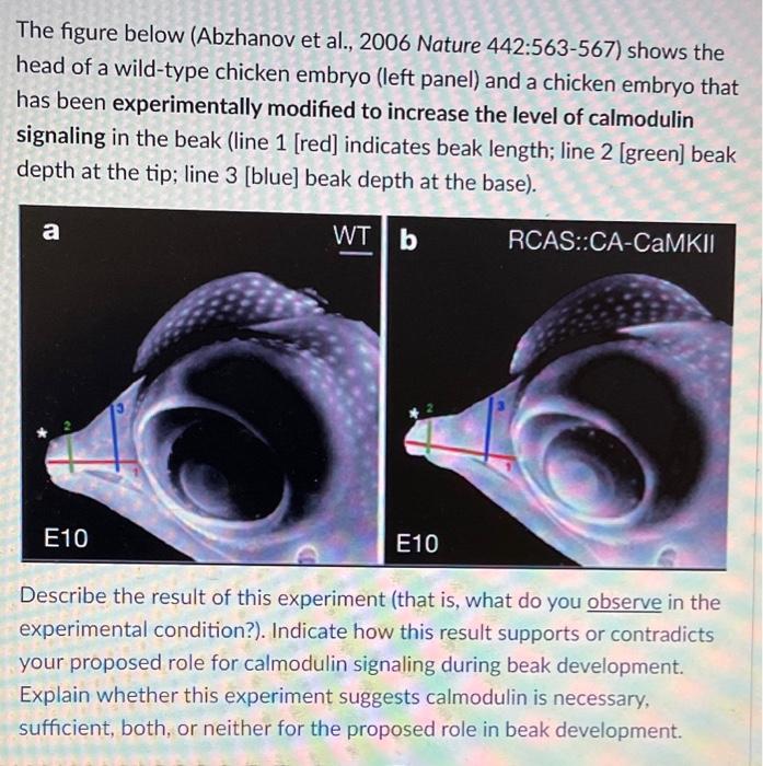 Solved The figure below (Abzhanov et al., 2006 Nature | Chegg.com
