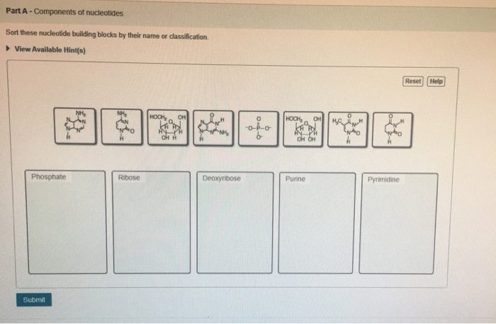 Solved Part A -Components of nucleotides Sort these | Chegg.com