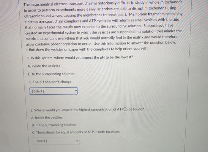 Solved The mitochondrial electron transport chain is | Chegg.com