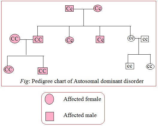 Solved: Using a pedigree, show an autosomal recessive disorder ...