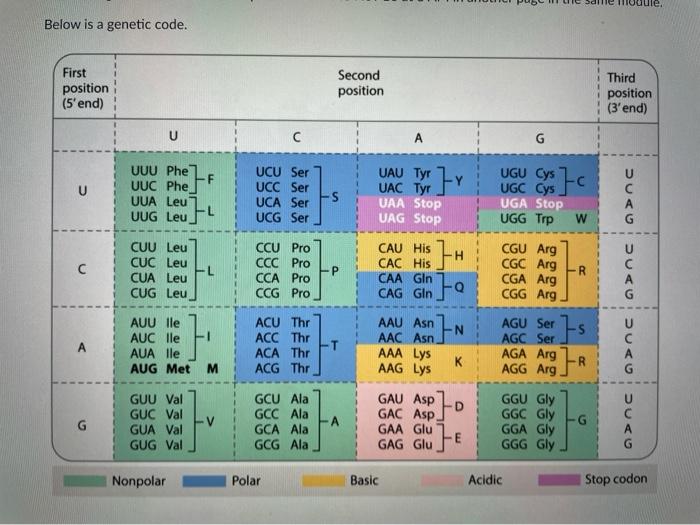 Solved Below is a genetic code. First position (5'end) | Chegg.com