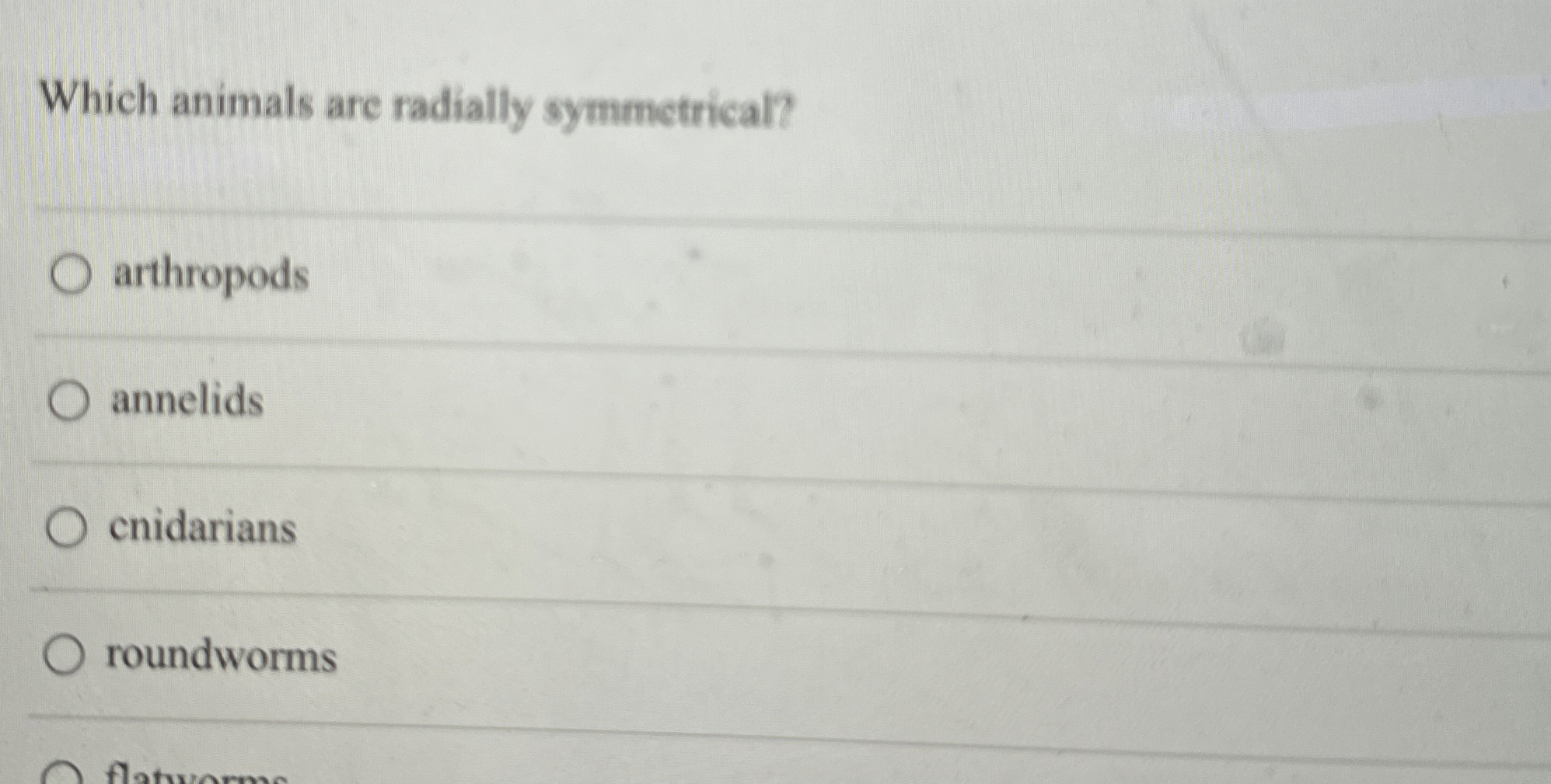 Solved Which animals are radially | Chegg.com