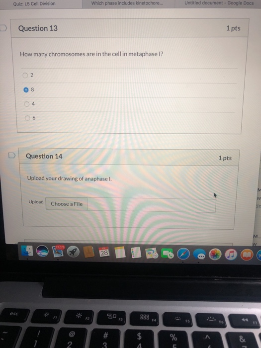 Solved Question 1 1 pts Upload your drawing of prophase of | Chegg.com